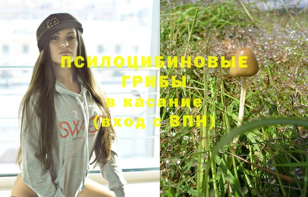 прущие крисы Аркадак