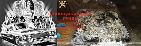 прущие крисы Аркадак