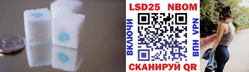 даркнет сайт  Россошь  Лсд 25 экстази кислота 