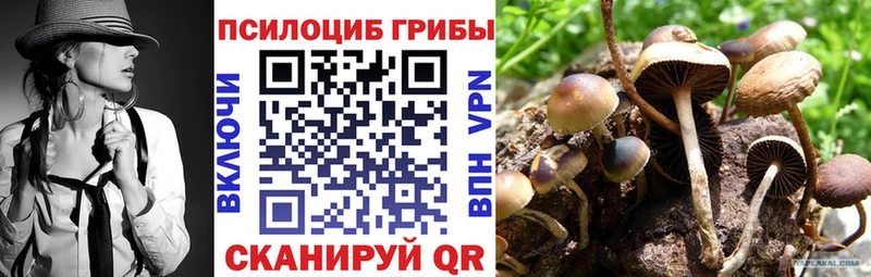 Галлюциногенные грибы мухоморы  Россошь 