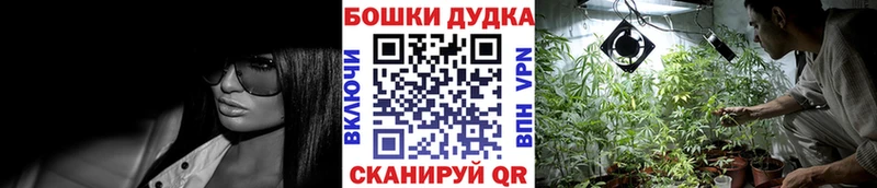 OMG онион  Россошь  Шишки марихуана семена  продажа наркотиков 